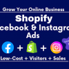 I will setup and manage the facebook ads campaigns