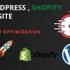 I will speed up wordpress website for google pagespeed insights