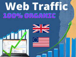 I will drive USA web traffic to boost your website