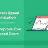 will do wordpress speIed optimization for google pagespeed insight