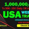 I will drive real organic USA web traffic
