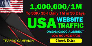 I will drive real organic USA web traffic
