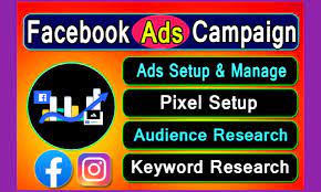 I will set up facebook and instagram ads for leads and sales