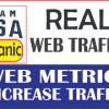 I will do USA web traffic to your website