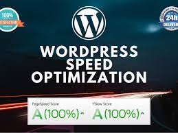 I will do wordpress speed up optimization with gtmetrix, increase page speed in 24 hour