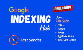 I will do website, article, and urls indexing in google within 24 hours