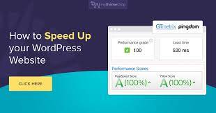 I will speed optimize your wordpress site