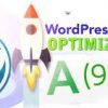 I will optimize gtmetrix and pagespeed on your wordpress website