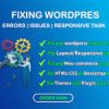 I will fix word press issues, word press website or errors