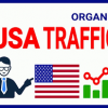 I will generate organic USA web traffic to your website