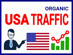 I will generate organic USA web traffic to your website
