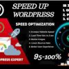 I will do wordpress speed optimization for google page speed insights, gtmetrix