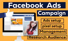 I will setup and manage the facebook ads campaigns