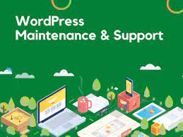 I will provide maintenance and support for your wordpress website