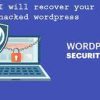I will recover hacked wordpress website, remove malware, security