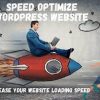 I will optimize your wordpress website professionally
