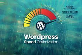 I will do wordpress speed optimization, speed up wordpress website