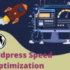 I will do wordpress speed optimization for google pagespeed insights and gtmetrix