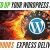I will speed up and optimize your wordpress website in 12 hours