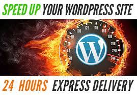 I will speed up and optimize your wordpress website in 12 hours