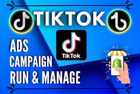 I will create, run and manage tiktok ads campaign, tik tok ads, tiktok advertising