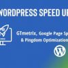 I will make your wordpress website faster with google page speed gtmetrix
