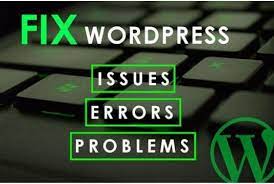 I will fix your word press website issue