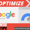 I will optimize wordpress page speed at pagespeed insights