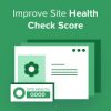 I will health check your word press website