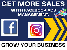 I will create your facebook ads campaign