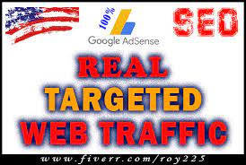 I will drive targeted real USA website traffic with seo