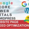 I will do wordpress website speed optimization and google core web vitals