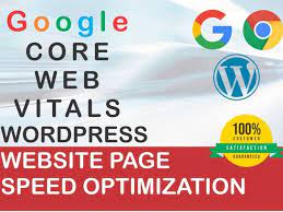 I will do wordpress website speed optimization and google core web vitals