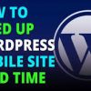 I will optimize wordpress website and increase page speed