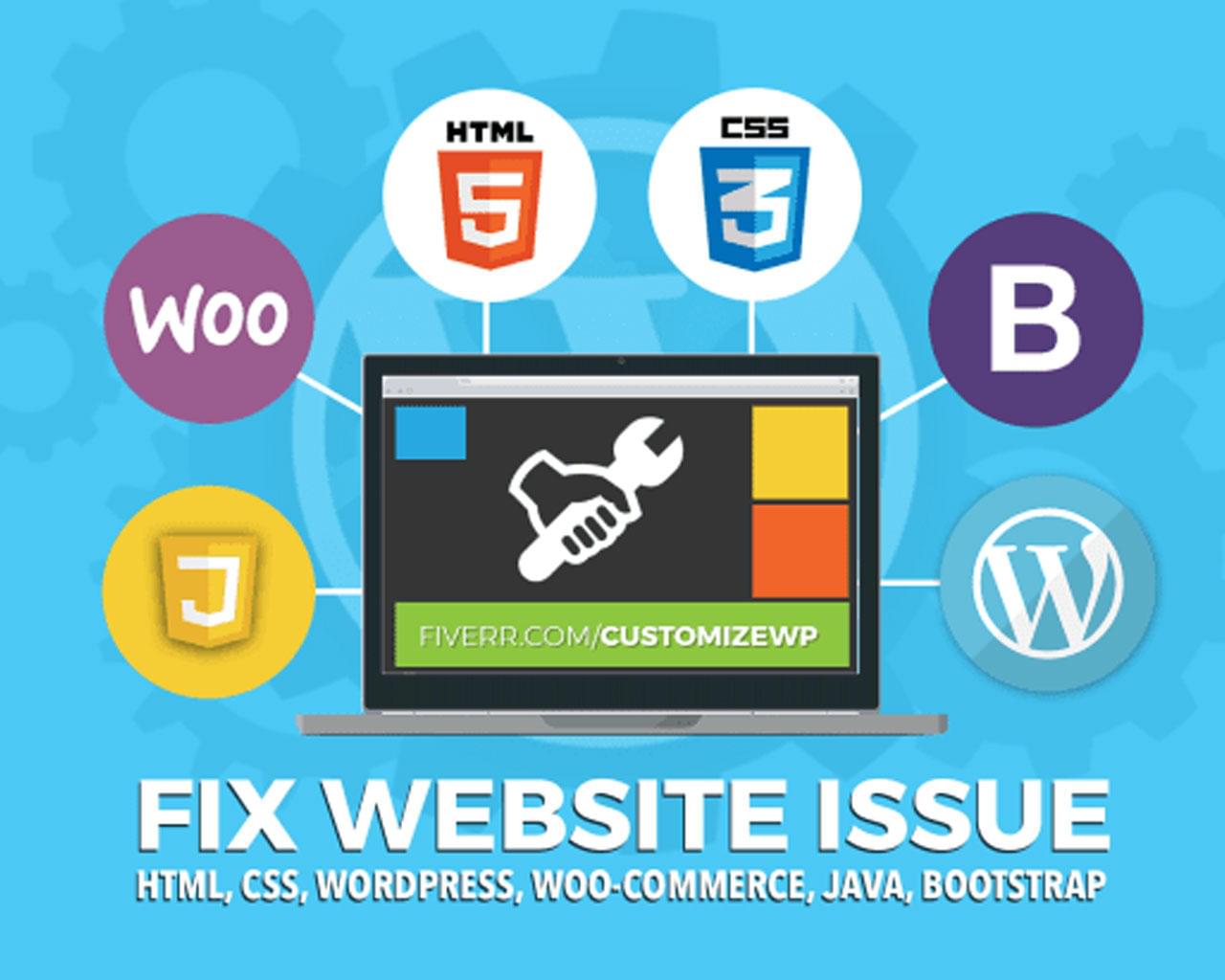I will fix bugs and customize woocommerce website
