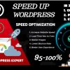 I will increase wordpress speed optimization for gtmetrix, page speed
