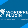 I will develop custom word press plugin